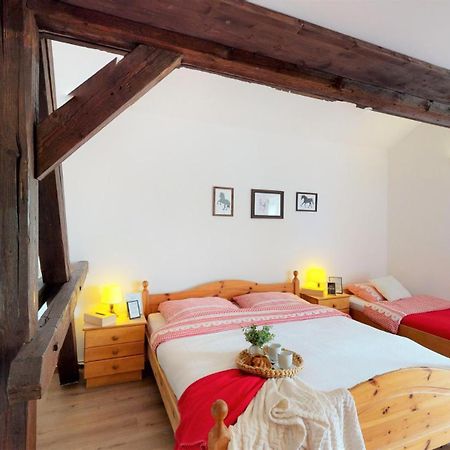 Pension U Sebastiana Hodousice Chambre photo