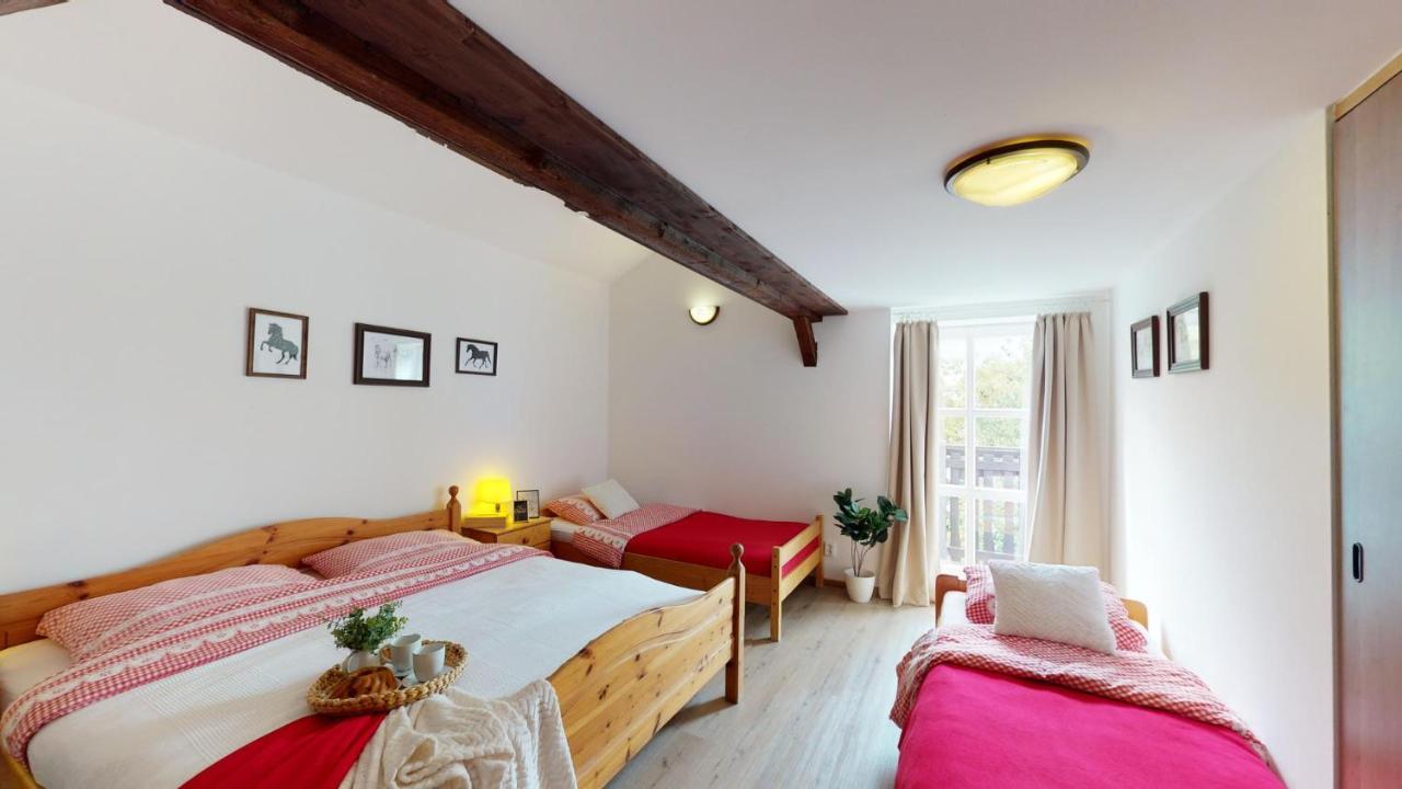 Pension U Sebastiana Hodousice Extérieur photo