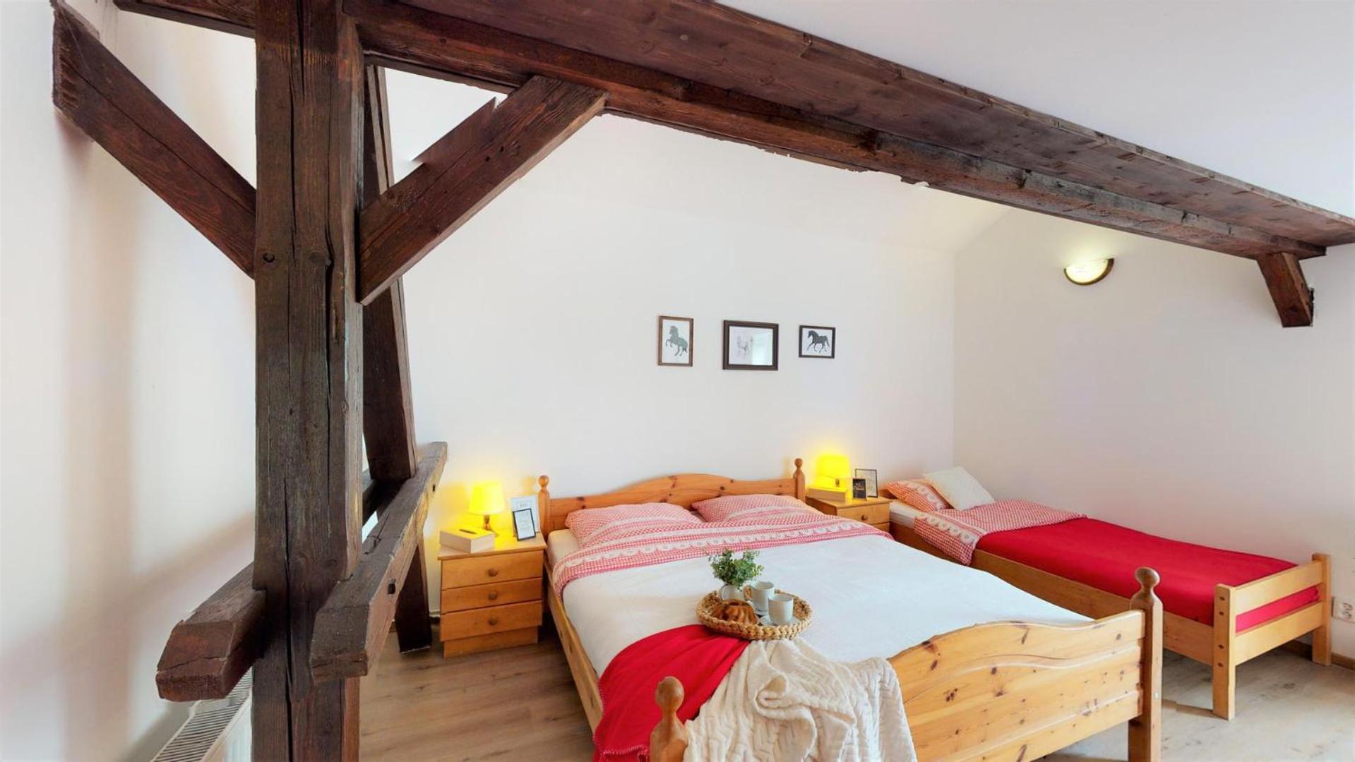 Pension U Sebastiana Hodousice Chambre photo